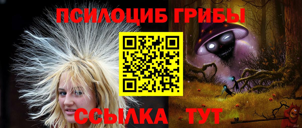 Горно-Алтайск  Галлюциногенные грибы GOLDEN TEACHER  Вход с VPN  Галлюциногенные грибы Psilocybine cubensis 